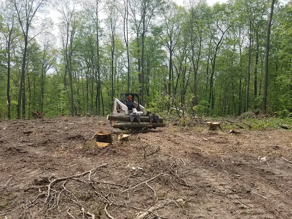 Lot Clearing project 1