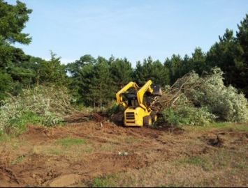 Lot Clearing project 2