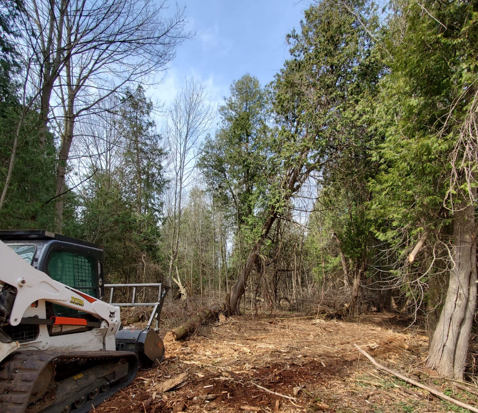 Lot Clearing project 4