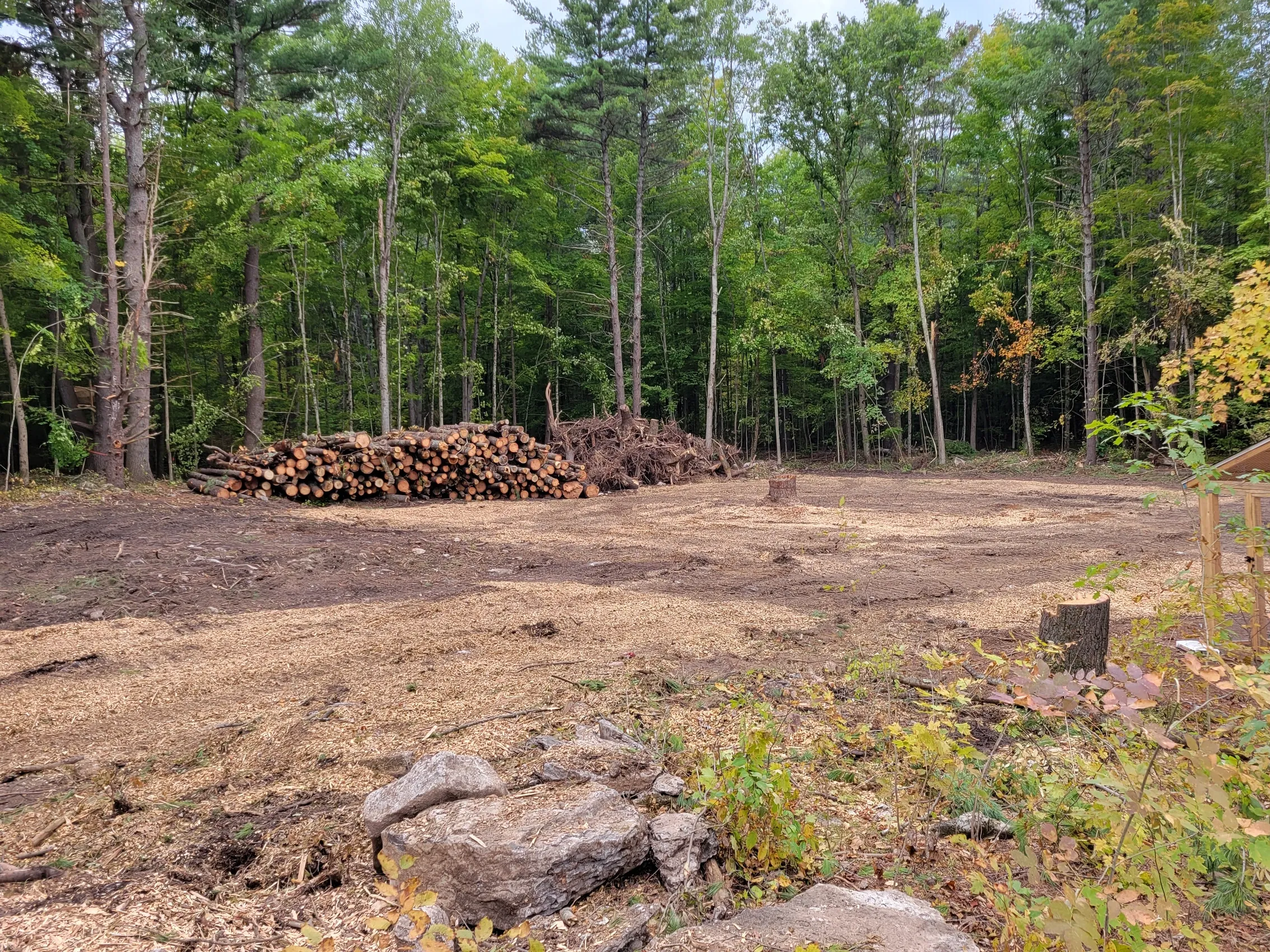 Lot Clearing project 7
