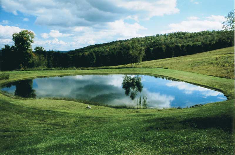 Pond Construction project 1