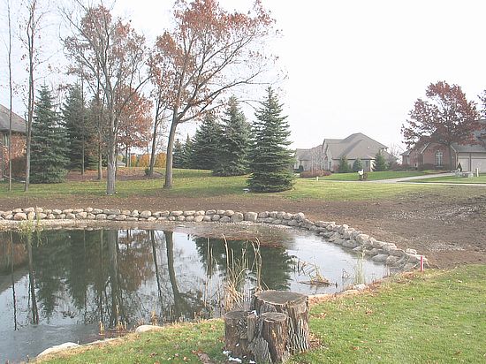 Pond Construction project 2