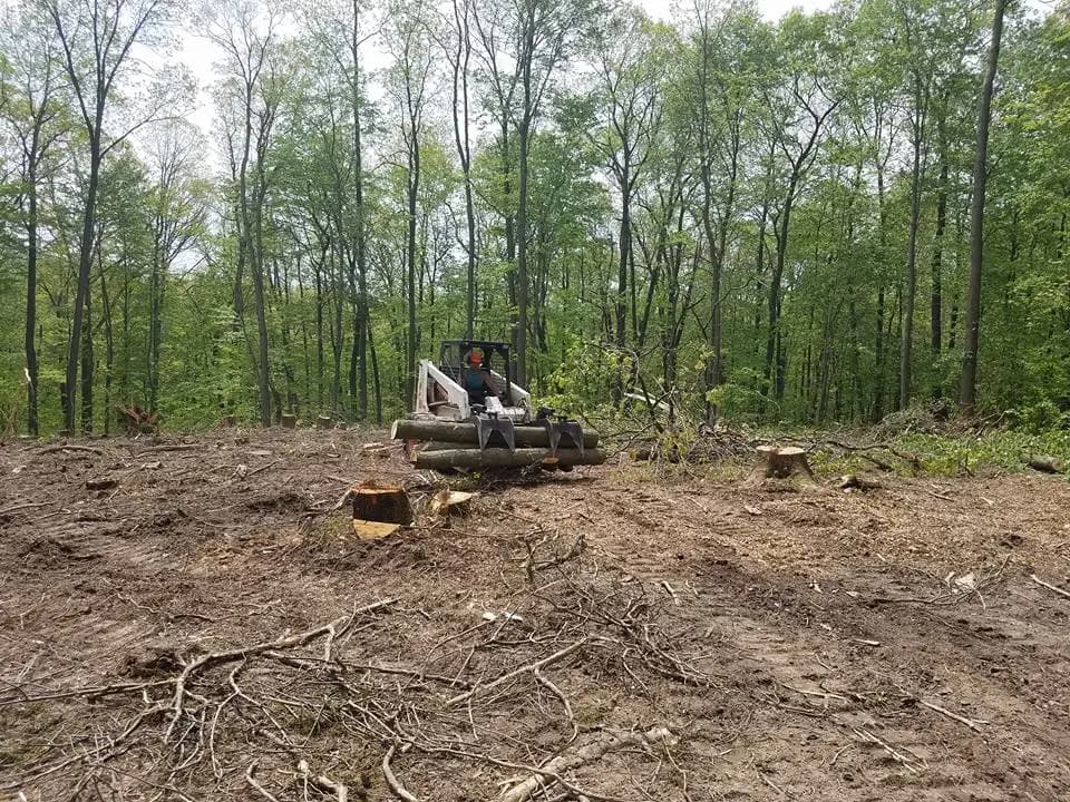 Lot Clearing Services in Spring, TX